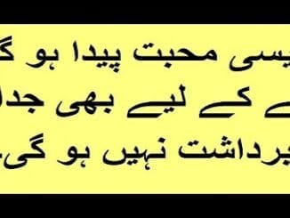 Kisi Ke Dil Me Mohabbat Dalne Ka Wazifa